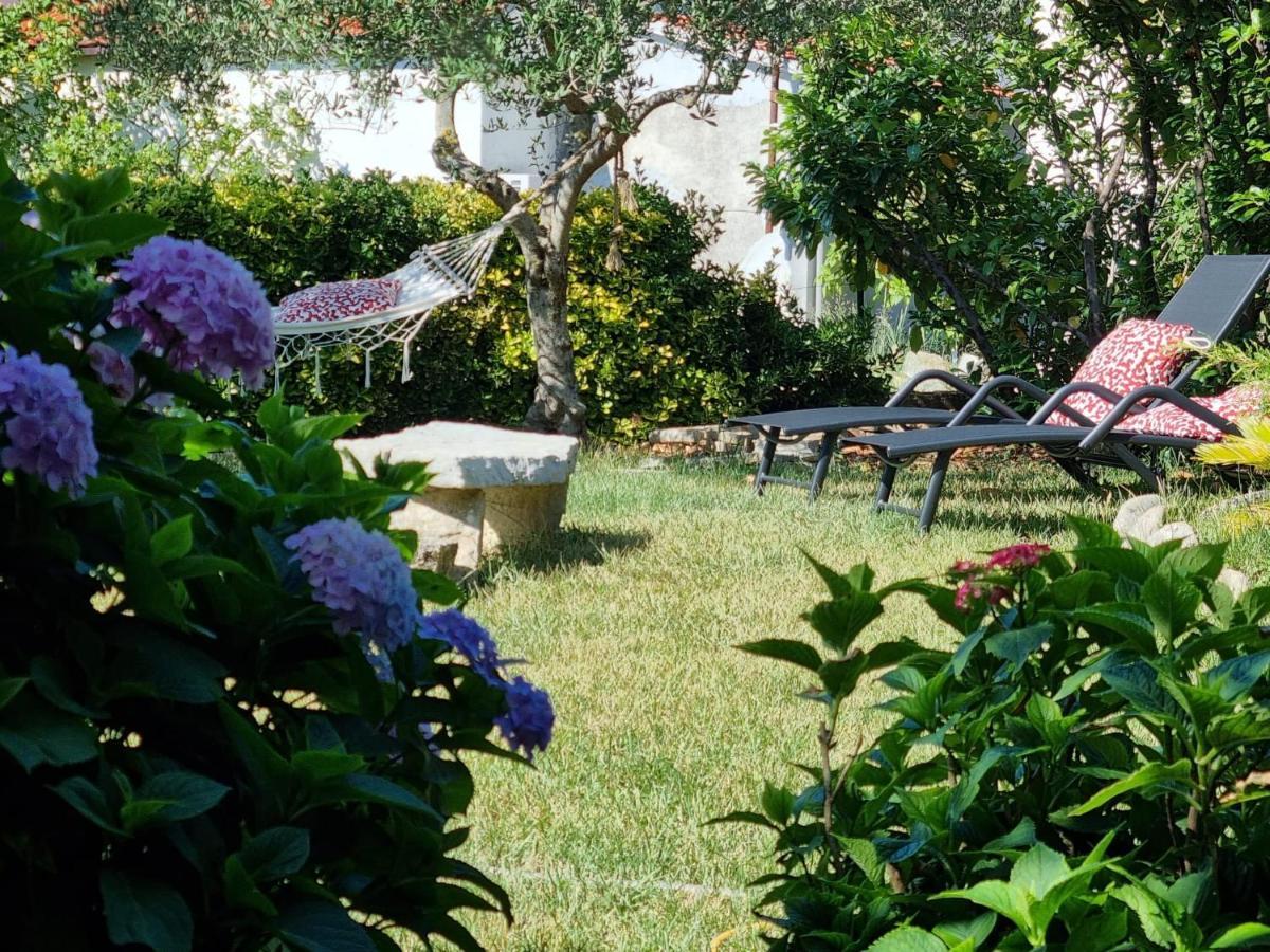 Tianri Daire Korčula Dış mekan fotoğraf