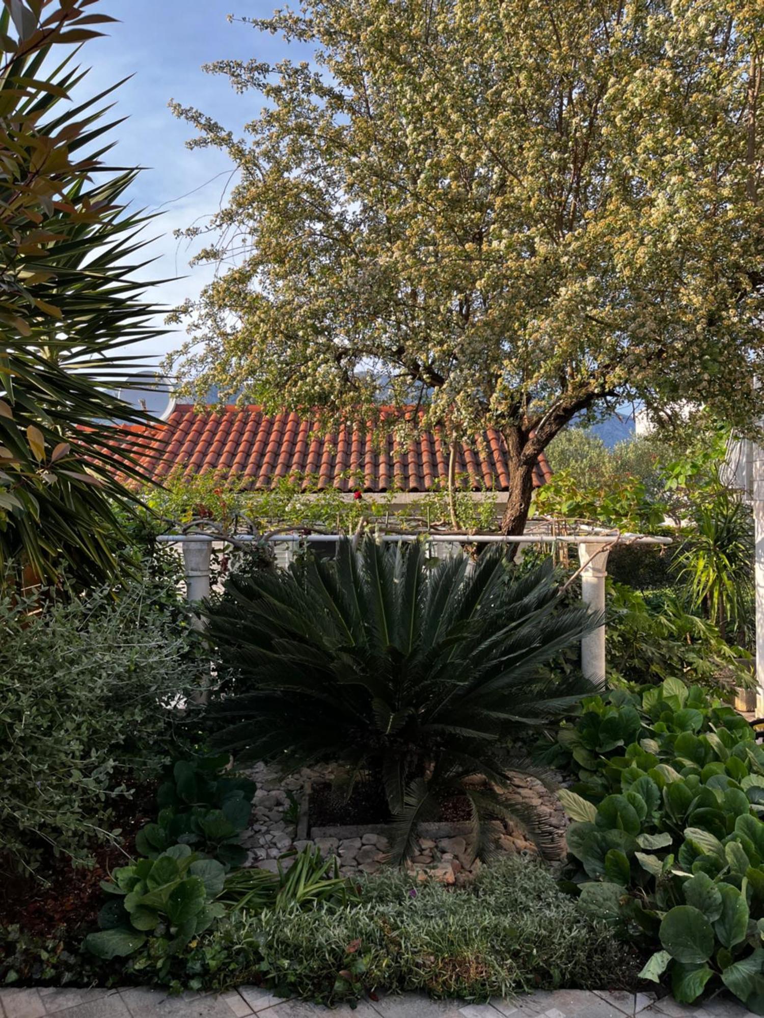 Tianri Daire Korčula Dış mekan fotoğraf