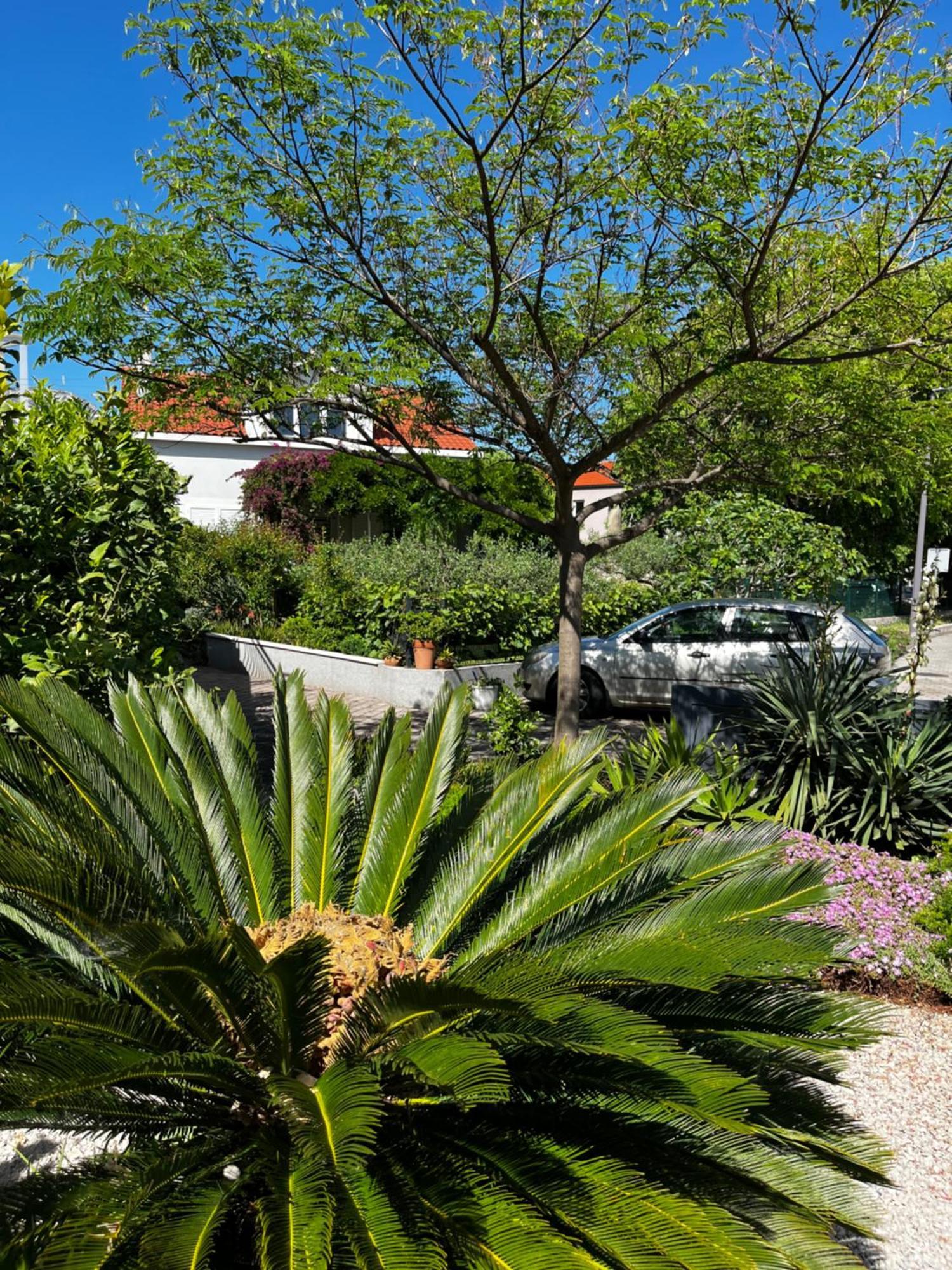 Tianri Daire Korčula Dış mekan fotoğraf